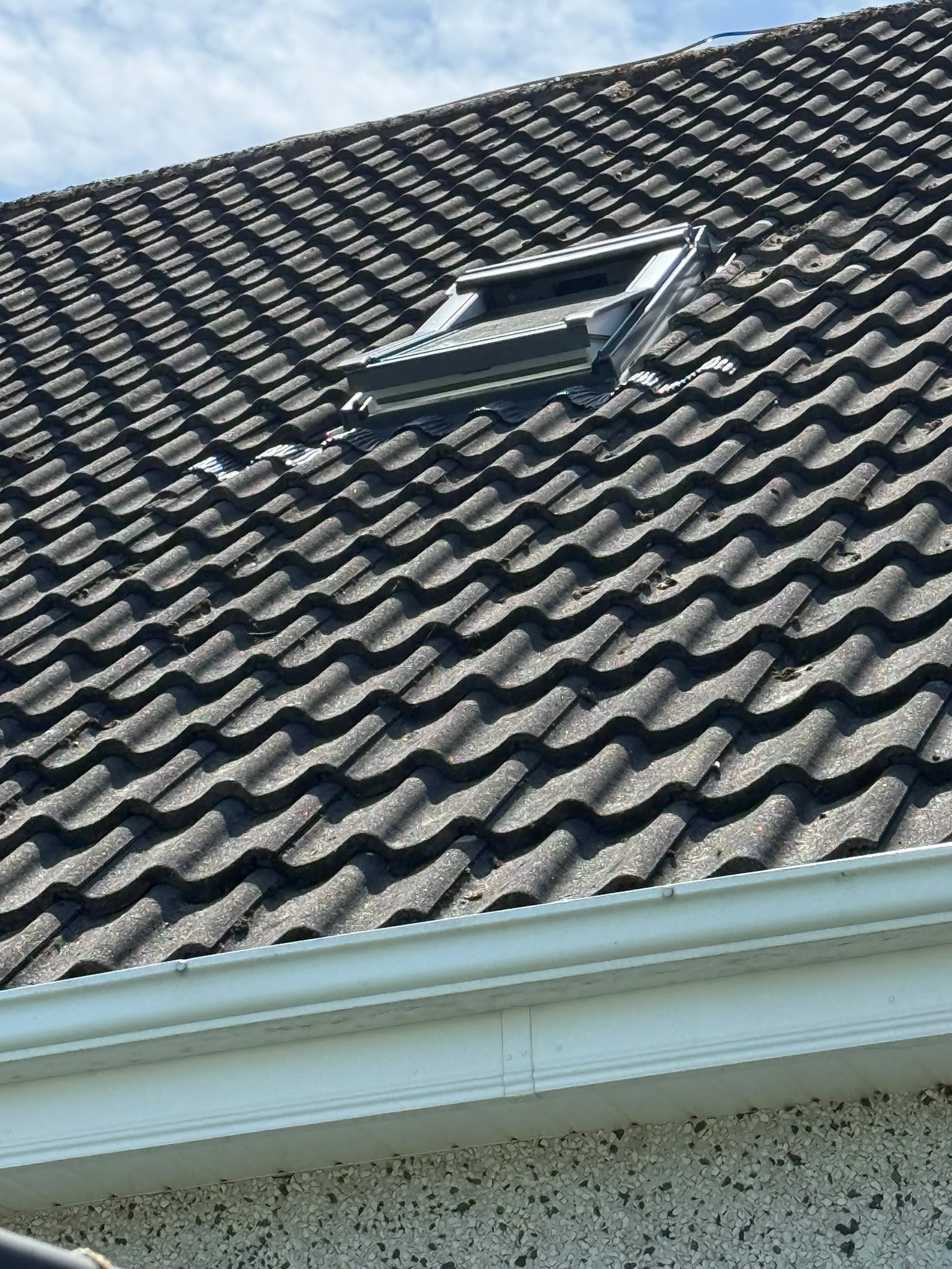 Rain & Shine Roofing