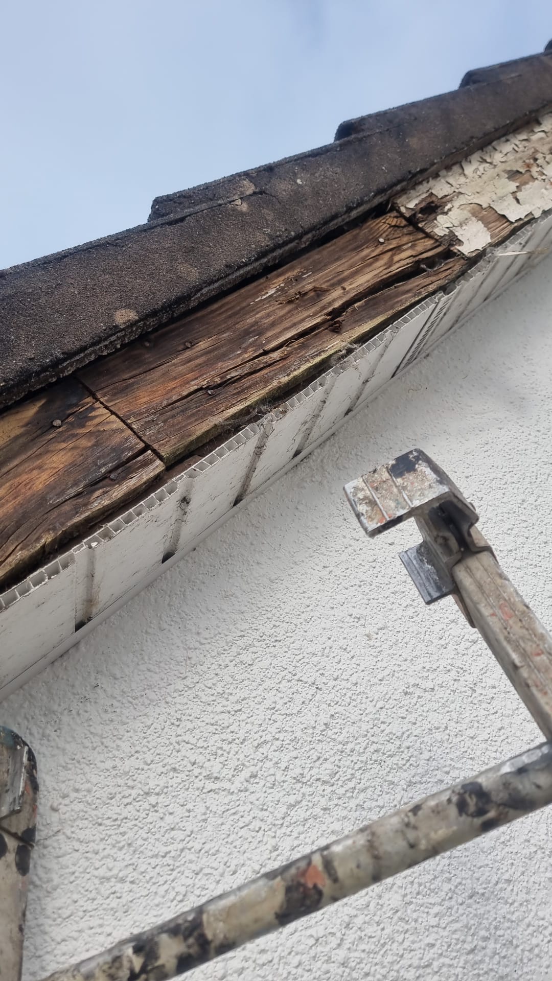 Munster Roof Repairs