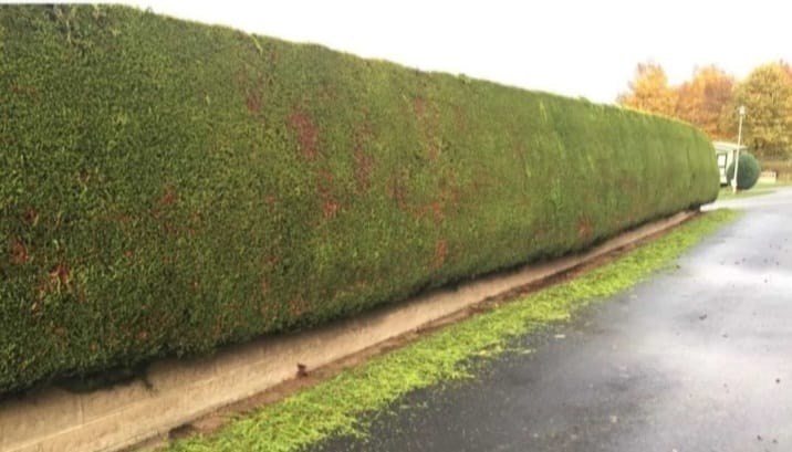 Landscaping dublin gardening dublin